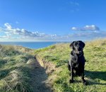 IMG_6283.jpeg