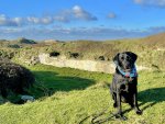 IMG_6251.jpeg