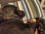 IMG_6287.jpeg