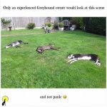 1704695284383.jpeg