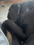 IMG_6301.jpeg