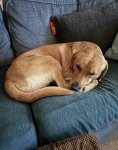 IMG_9377.jpeg