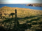IMG_6338.jpeg