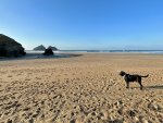 IMG_6330.jpeg