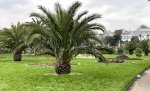 IMG_6358.jpeg