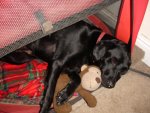 DSC07275.JPG