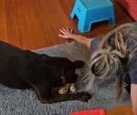 VideoCapture_20240118-201706.jpg