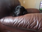 SAM_5383.JPG