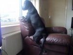 SAM_5403.JPG