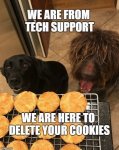 90CB34CB-ABD2-4BA6-8067-C7844948A8D4.jpeg