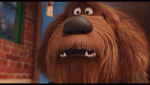 1547324905716.gif