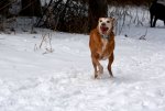 DSC_4741.JPG