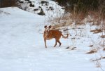 DSC_4767.JPG