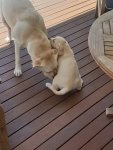 20190112_135537_resized_2.jpg