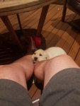 20190112_213507_resized_1.jpg