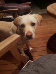 20190112_213512_resized_1.jpg