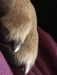 B76D2561-C362-43F3-B4EC-966B7BC0F692.jpeg