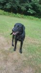IMG-20180713-WA0008.jpg