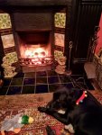 IMG-20190101-WA0000.jpg
