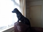 SAM_5524.JPG