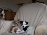 Lily and Paddy.jpg
