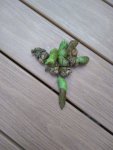 IMG_20190208_165956815.jpg