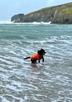IMG_6523.jpeg