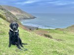 IMG_6536.jpeg