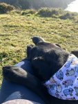 IMG_6596.jpeg