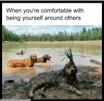 1707604476948.png