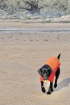 IMG_6697.jpeg