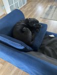 IMG_6704.jpeg
