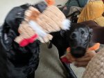 IMG_6620.jpeg