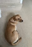 IMG_9610.jpeg