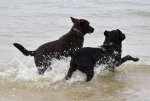 The beach in France 2.jpg