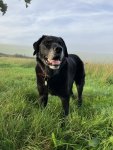 IMG_1002.jpeg