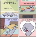 1709618939482.jpeg