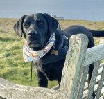 IMG_6378.jpeg