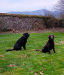 IMG20240309073918~2.jpg