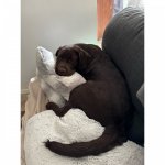 IMG_9091.jpeg