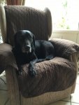 IMG_1458.jpeg