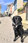 IMG_7068.jpeg