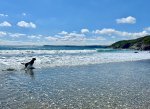 IMG_7747.jpeg