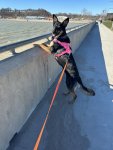 IMG_0879.jpeg