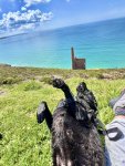 IMG_7991.jpeg