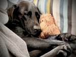 IMG_8191.jpeg