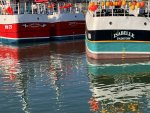 IMG_8176.jpeg