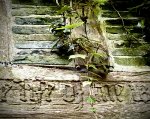 IMG_8163.jpeg