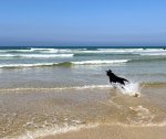 IMG_8126.jpeg