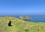 IMG_8121.jpeg
